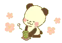 Cute Animal