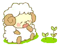 Cute Animal