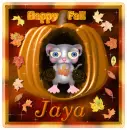 Jaya