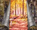 Background. Autumn