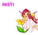 misti's flowers