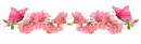 Flower divider