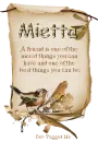 Mietta