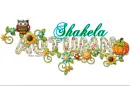 Autumn ~ Shakela