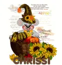 chrissi