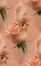 Backgrounds