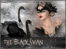 the black swan
