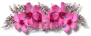 misti's flowers