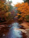 Autumn Photography