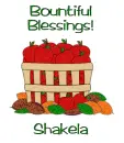 Bountiful Blessings - Shakela
