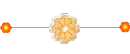 Orange Flower