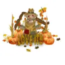 Love it  Fall
