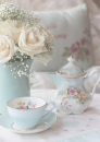 Cups