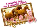 Beautiful Horses- Robbie