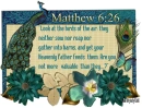 Matthew 6:26