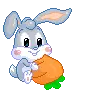 Snuggle bunny