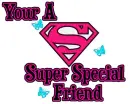 Super Special Friend