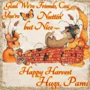 You're Nuttin' but Nice - Pami - offer - fg