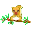 squirrel