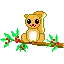 squirrel