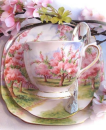 Cup