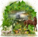 Clipart nature misk