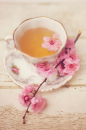 Tea cup