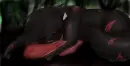 hollyleaf