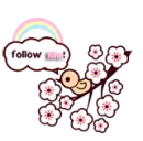 follow twitter