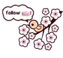 follow twitter