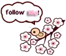 follow twitter