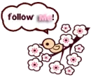 follow twitter