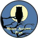Autumn Owl - Fran