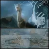 saphira flying