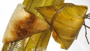 zongzi, chinese glutinous rice dumplings