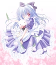 Tulips - Lilac Lolita