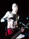 Shavo Odadjian - System Of A Down 