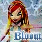 bloom