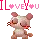 i love you kitty