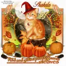 shakela
