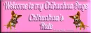 Welcome to my Chihuahua page