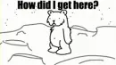 How did I get here?(asdf movie)
