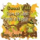 Connie - Autumn Fall