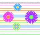 Colorful Flowers