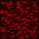Halloween Background