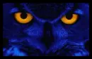 Background - Owl 