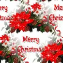Christmas - background - xmas