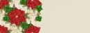 Christmas poinsetta - background - xmas