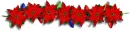 Christmas Poinsetta - div - xmas