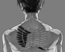  Levi